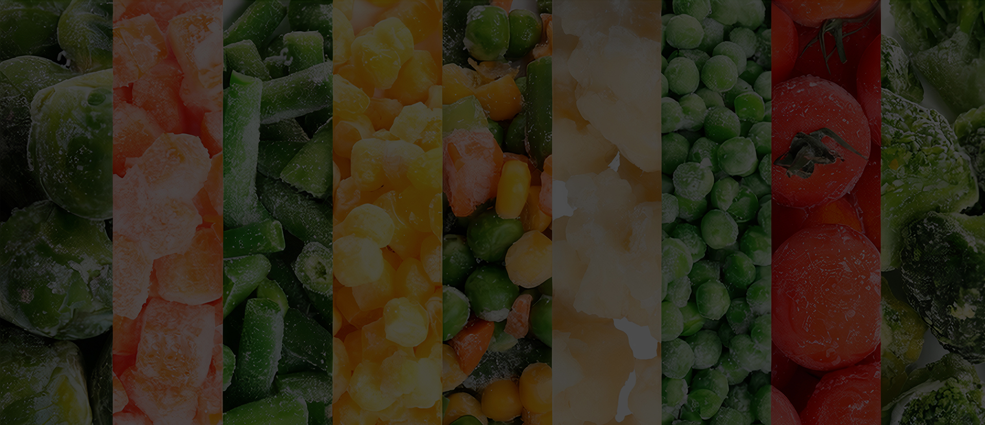 Building a Strong Brand